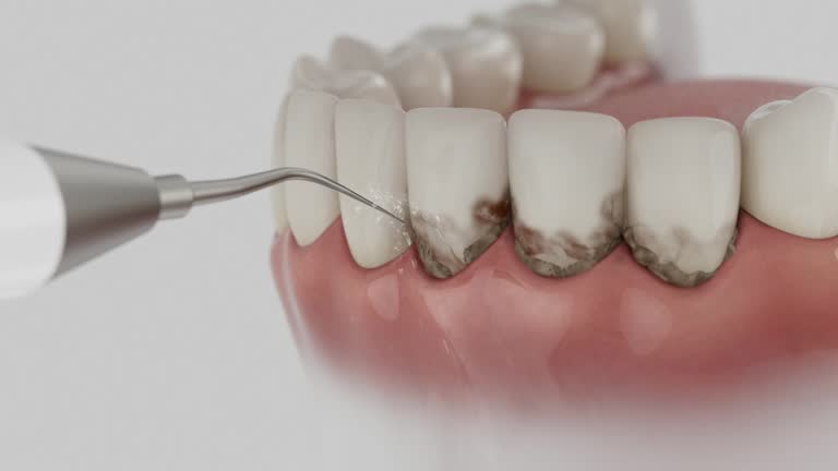 Reliable Dental contractor in Goodman, MO by Dentist Open Now